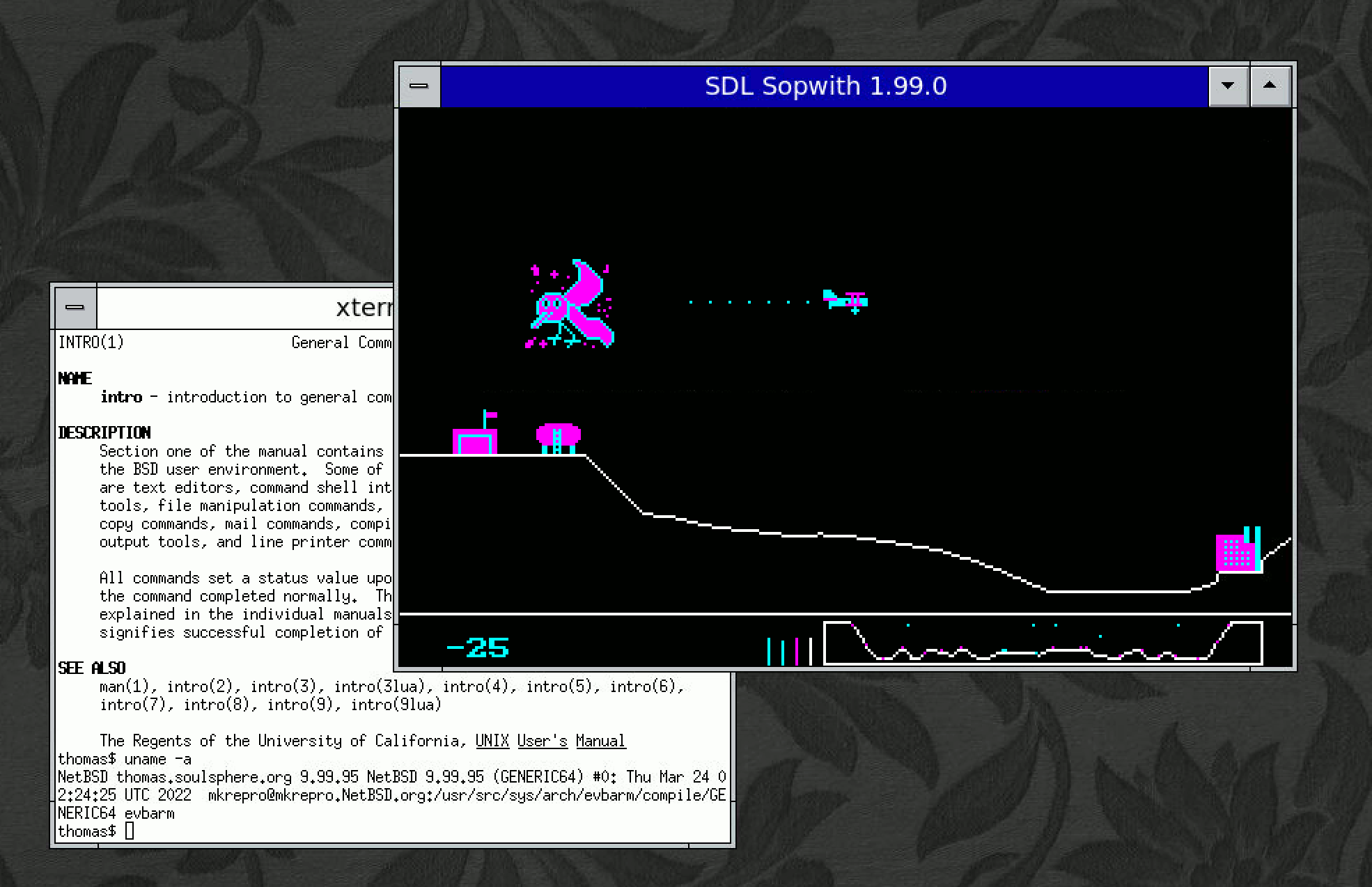 Screenshot, NetBSD